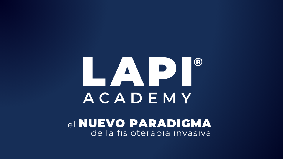 Lapi Academy - video